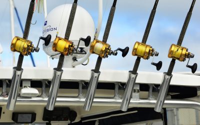 How to Choose the Right Fishing Rod